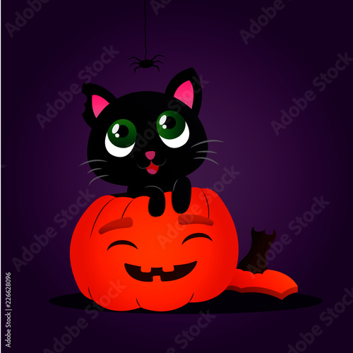 halloween, felinos, calabaza, negro, animal, vacaciones, anaranjada, otoñal, noche, gatita, alarmante, asustadizo, moreno, mascota, octubre, cara, cuca, amarilla, felíno, farol, corruptamente, horror,