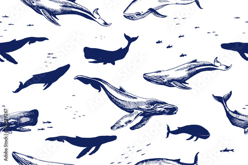 Sea whales seamless pattern