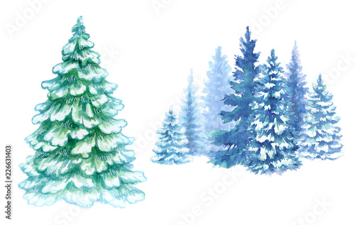 watercolor winter forest illustration, Christmas fir trees, frozen nature, conifer, holiday background, rural landscape, outdoor scene, isolated on white background © wacomka