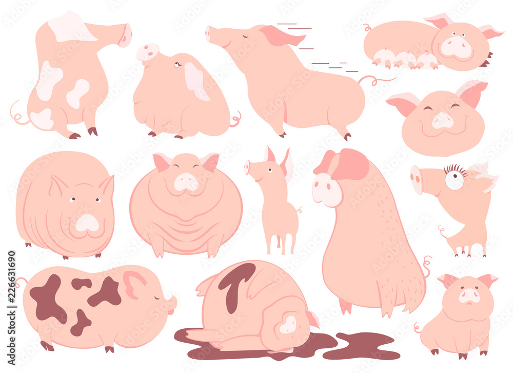 Funny pink pigs set. Chinese New Year 2019 symbol in funny characters and poses isolated on white background. Cartoon flat style vector illustration. Funny pink pigs set. Chinese New Year 2019 symbol in funny characters and poses isolated on white background. Cartoon flat style vector illustration.