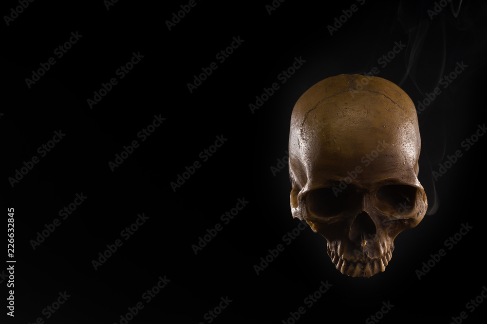 human skull on black background human skull on black background