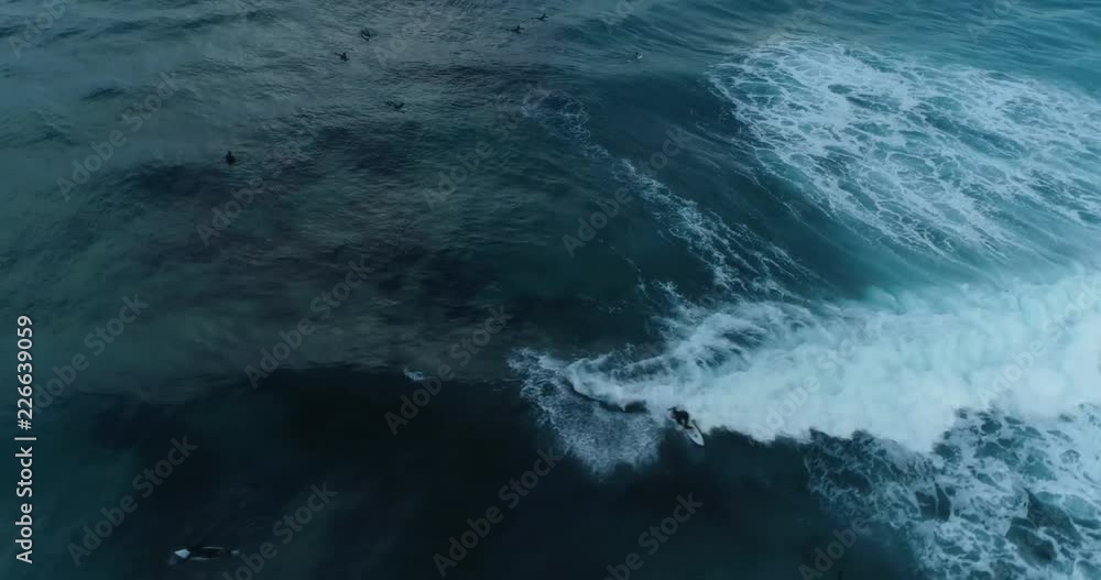 surfer on a wave surfer on a wave