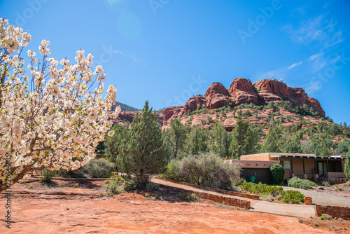 Landscape in Sedona