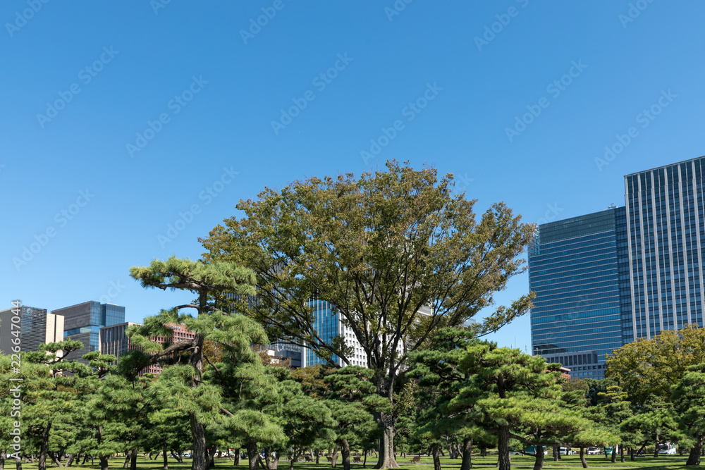 (東京都ー都市風景)内堀通り側から望む丸の内オフィスビル11 (東京都ー都市風景)内堀通り側から望む丸の内オフィスビル11