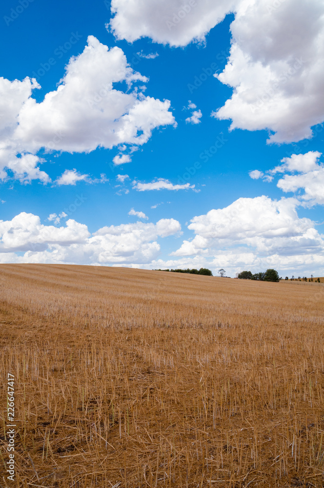 Rural landscape of dry field. Nature background