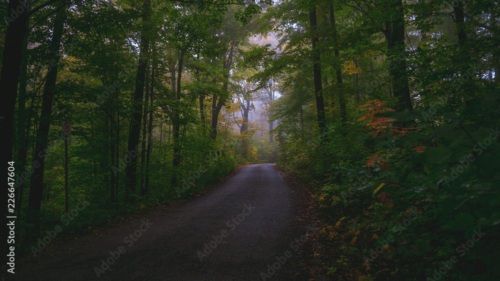 Fototapeta premium Fall_colors