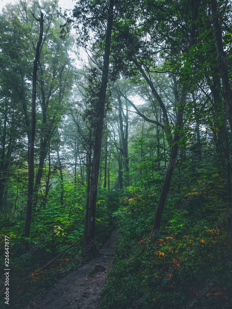 Obraz premium Fall_colors