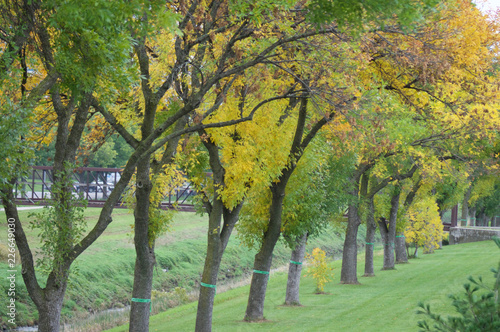 Fototapeta Naklejka Na Ścianę i Meble -  Autumn Colors Pathways and Waterways 