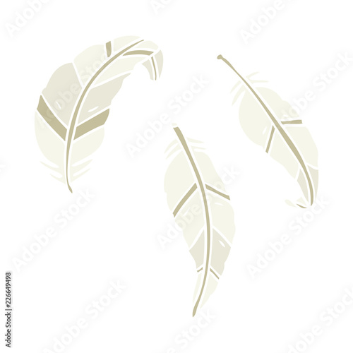 flat color style cartoon feathers