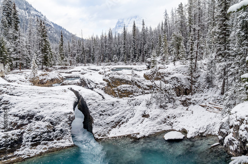 Beautiful Natural Stone Bridge Over Kicking Horse River in Winter
