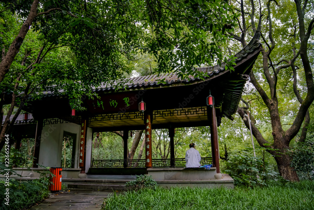 Captured in Hangzhou Xixi Wetland scenery Captured in Hangzhou Xixi Wetland scenery