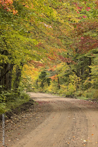 Country road winds through fall color trees in New England