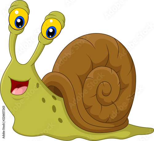 Cute snail cartoon isolated on white background