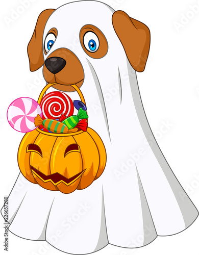 Halloween costume dog holding pumpkin bag full candy