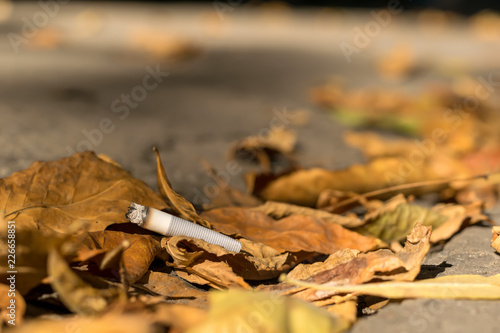 cigarette butt lies on the asphalt path on the fallen autumn leaves