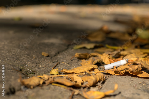 cigarette butt lies on the asphalt path on the fallen autumn leaves
