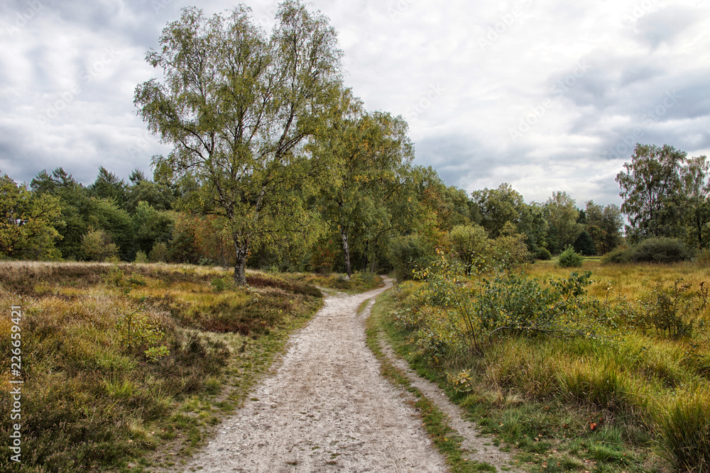 der Weg Geteilt