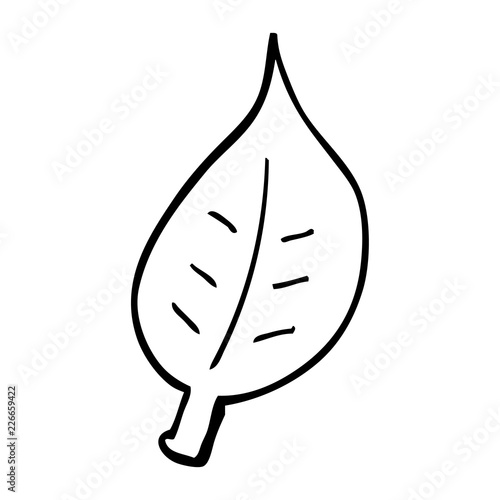 line drawing cartoon autumnal leaf