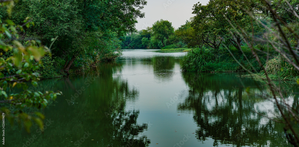 Captured in Hangzhou Xixi Wetland scenery Captured in Hangzhou Xixi Wetland scenery
