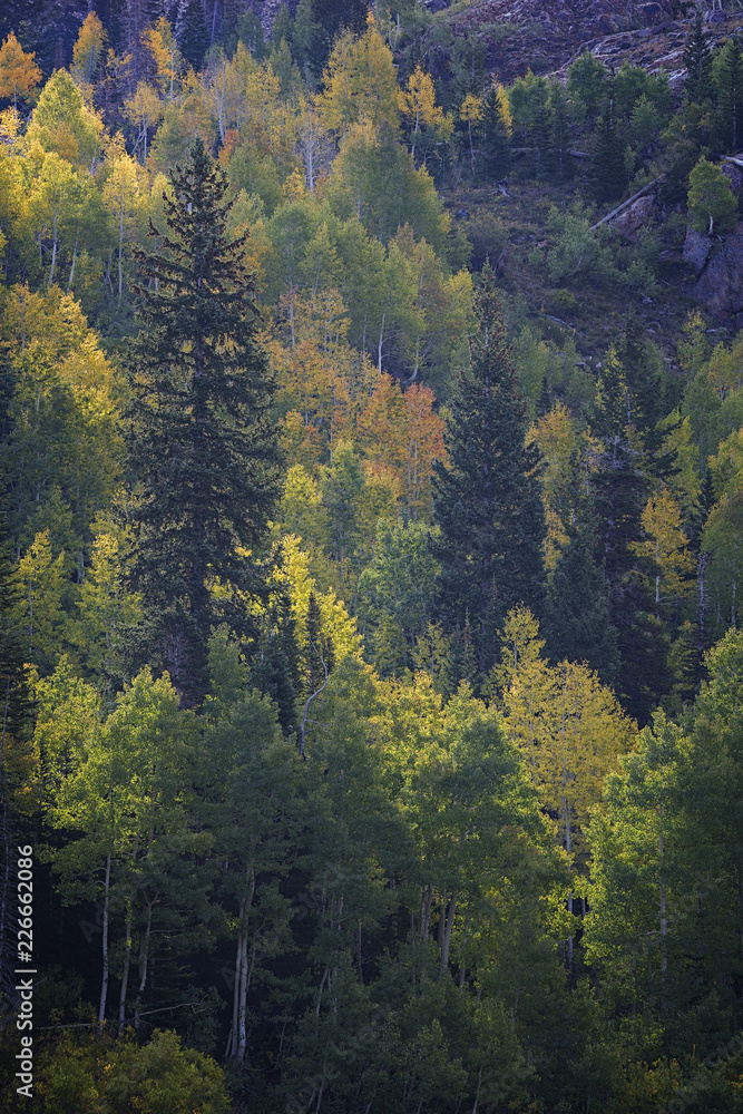 Fall colors on sundial peak mountains