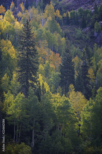 Fall colors on sundial peak mountains © Taylor