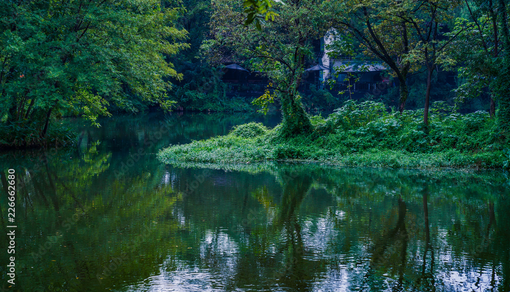 Captured in Hangzhou Xixi Wetland scenery Captured in Hangzhou Xixi Wetland scenery