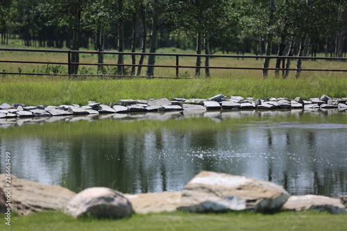 Wallpaper Mural pond in the park Torontodigital.ca