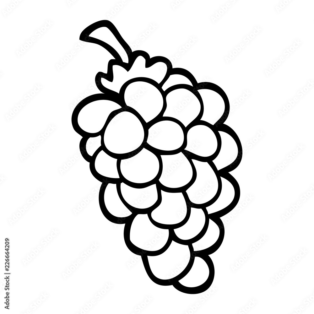 Premium Vector | Grapes fruit berry outline icon, drawing monochrome  illustration. healthy nutrition, organic food, vegetarian product.