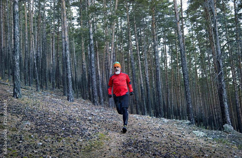 Runner in the forest Runner in the forest