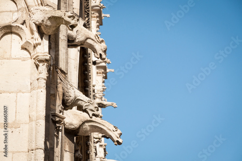 Chimeres of Notre Dame de Paris