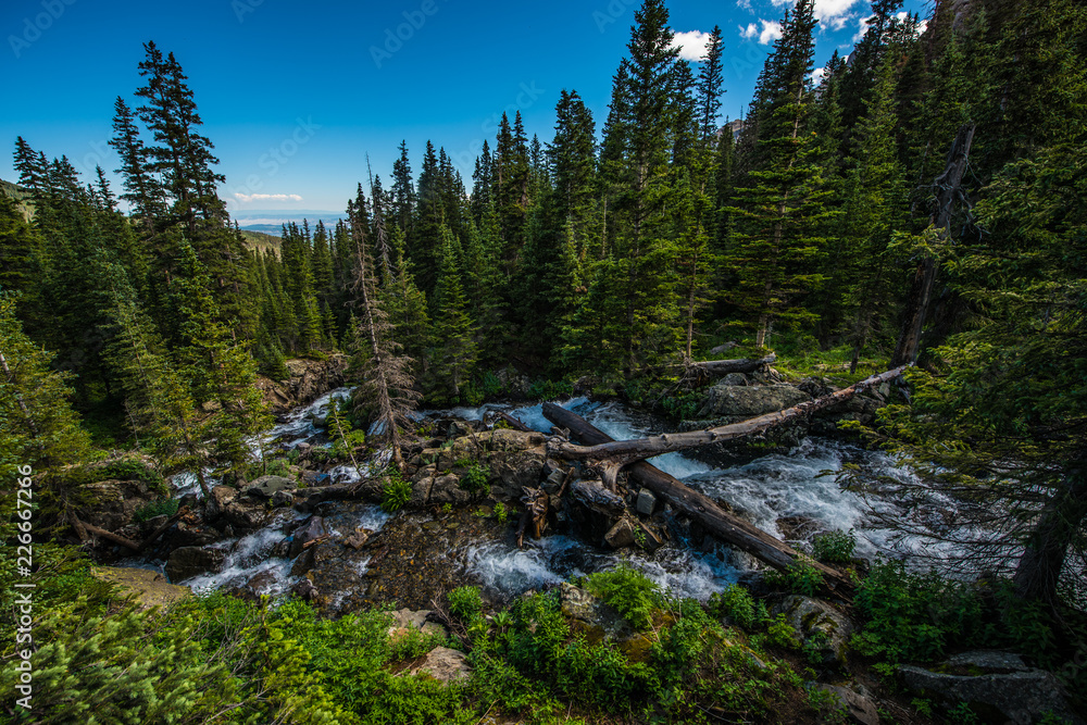 East Fork Dallas Creek Mt. Sneffels Wilderness area East Fork Dallas Creek Mt. Sneffels Wilderness area