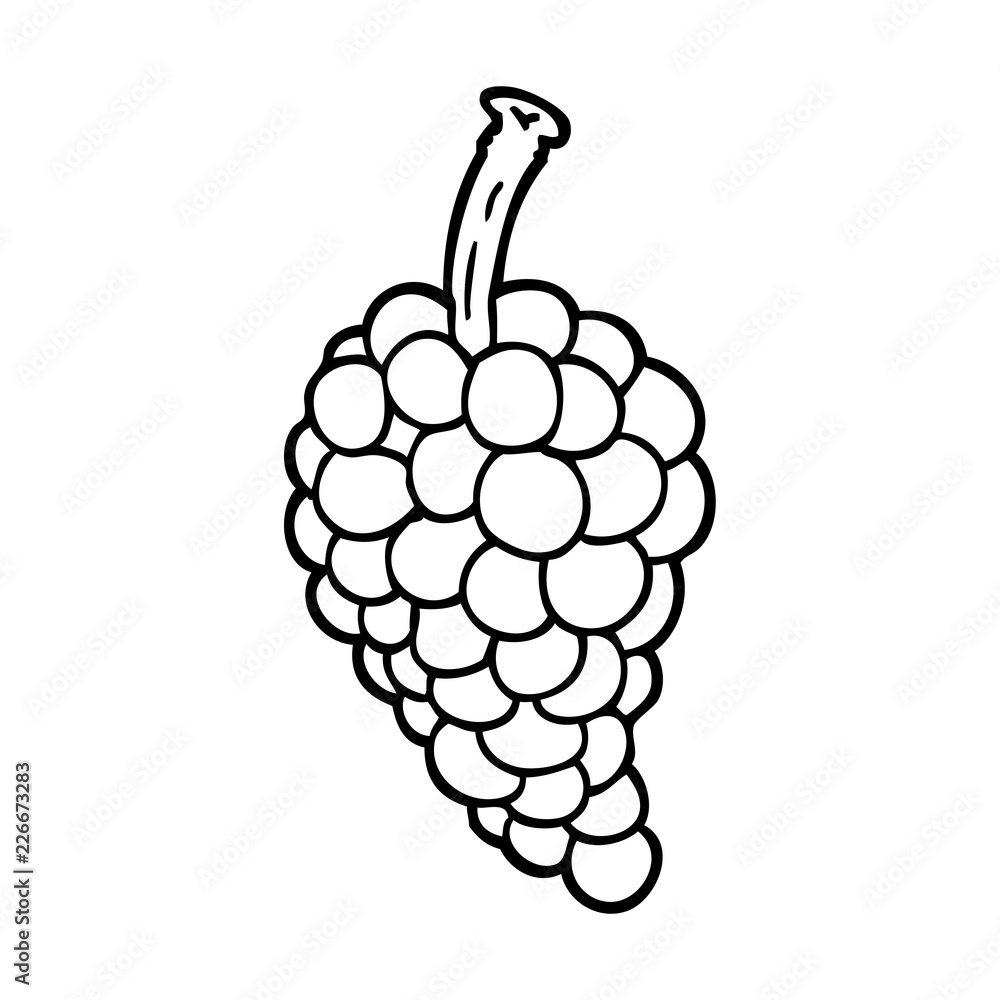 Cute grapes drawing png images | PNGWing