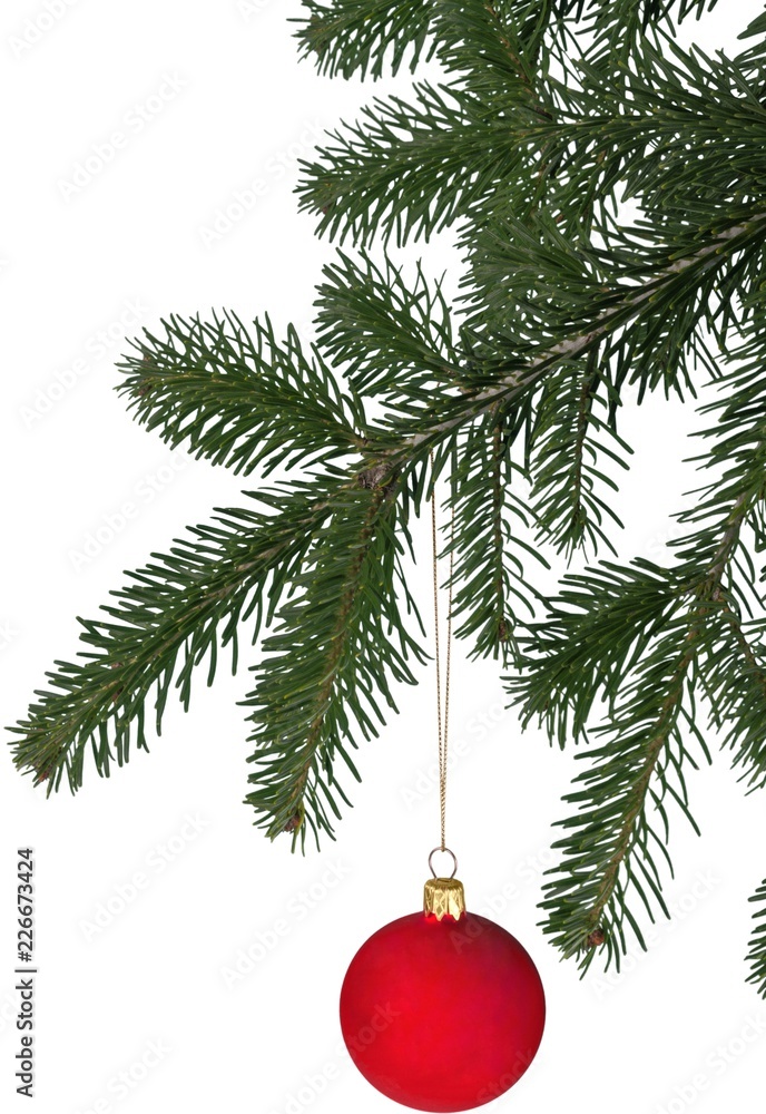 Fir tree branch with christmas bauble isolated on white