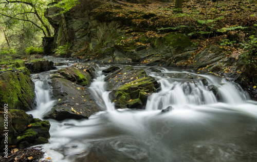 Fototapeta Naklejka Na Ścianę i Meble -  Selkewasserfall, Harz