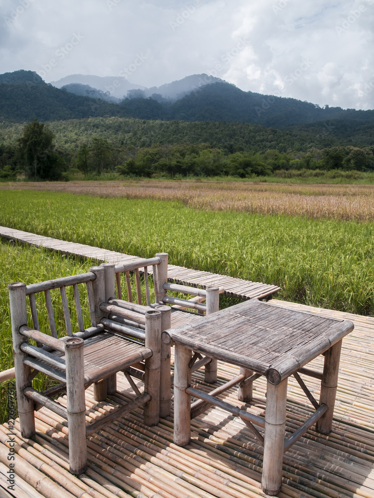 landscape  photography : Landscapes of rice fields Asia and lifestyle farmers