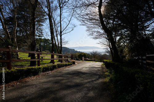 A tree covered driveway in a hillside property in the Dandenong hills just outside of Melbourne with a view to the hills beyond. A beautiful spring day with the sun peaking through the canopy.