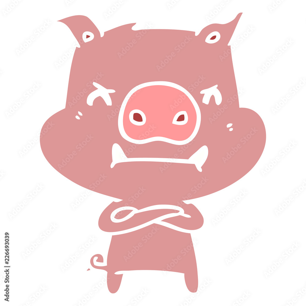 angry flat color style cartoon pig angry flat color style cartoon pig