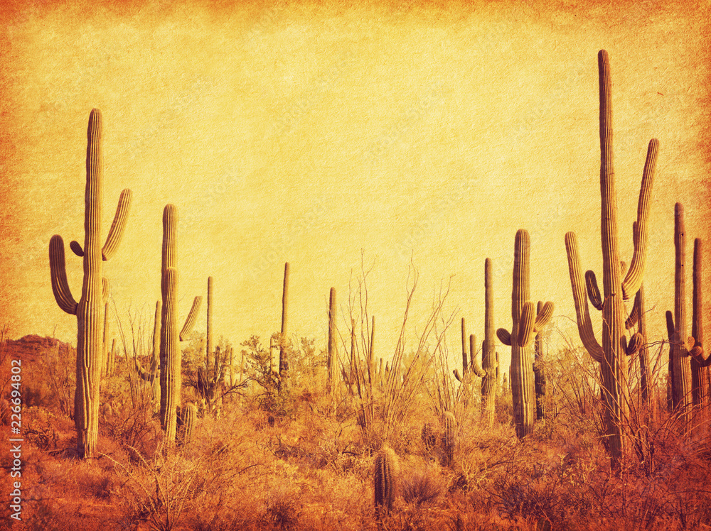 Landscape of the desert with Saguaro cacti. Photo in retro style. Added paper texture. Toned image