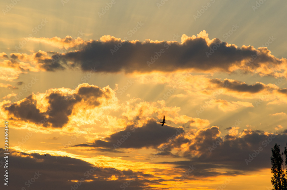 Landscape with dramatic light - beautiful golden sunset with saturated sky and clouds. Landscape with dramatic light - beautiful golden sunset with saturated sky and clouds.