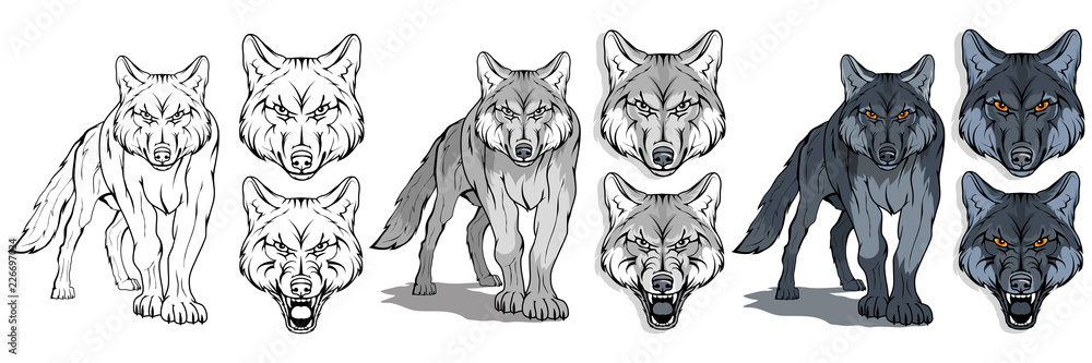 Naklejka premium wilk, izolowany na białym tle, kolorowa ilustracja, nadający się jako logo lub maskotka drużyny, niebezpieczny leśny drapieżnik, głowa wilka, dzikie zwierzę, wilk szary w pełnym wzroście, grafika wektorowa do zaprojektowania