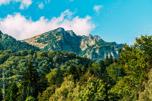 Beautiful Carpathian Mountains Summer Landscape In Romania