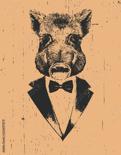 Portrait of Boar in suit. Hand-drawn illustration. Vector