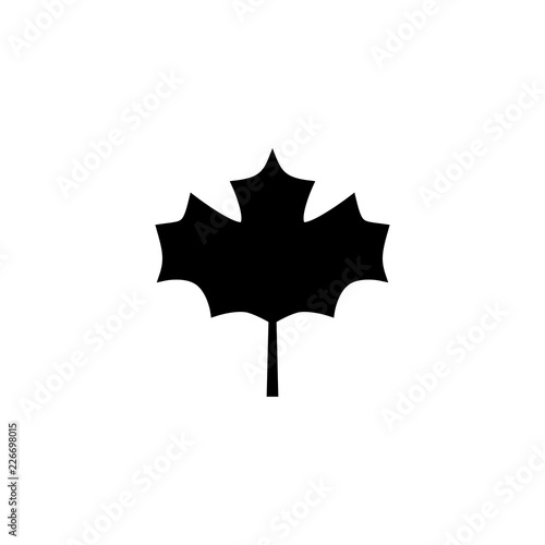 Maple leaf vector icon