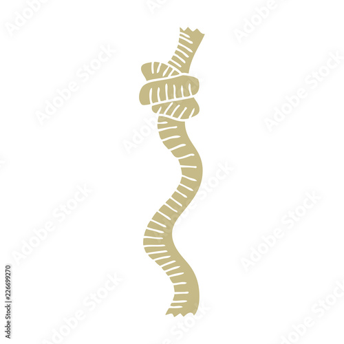 flat color style cartoon knotted rope