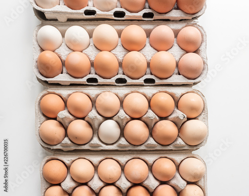 High angle view of farm fresh organic free range eggs in cartons on white background
