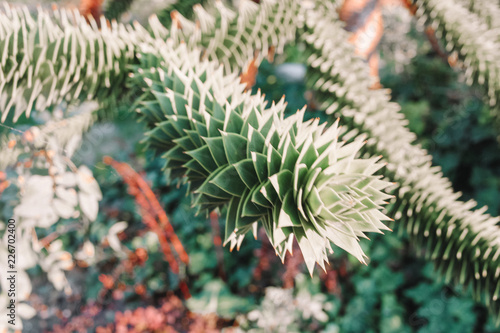 Copenhagen Sightseeing