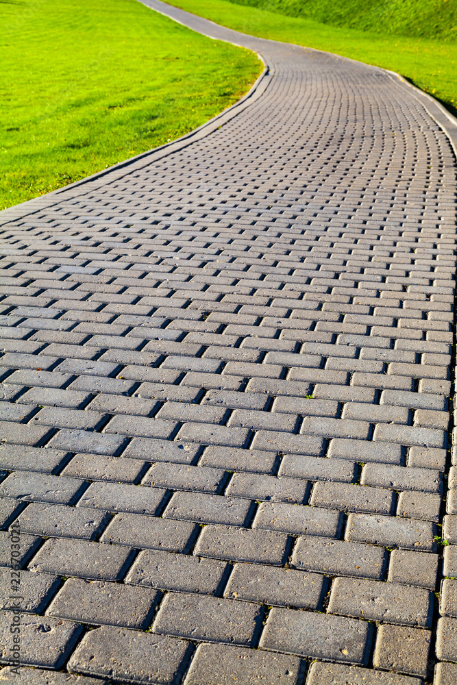 Fototapeta premium Garden stone path with grass