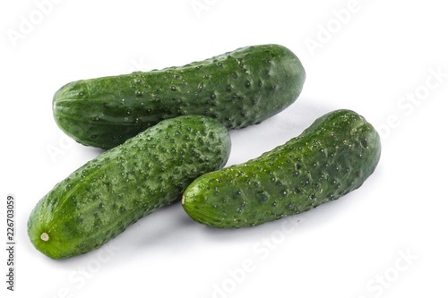 Fresh Ground Cucumbers