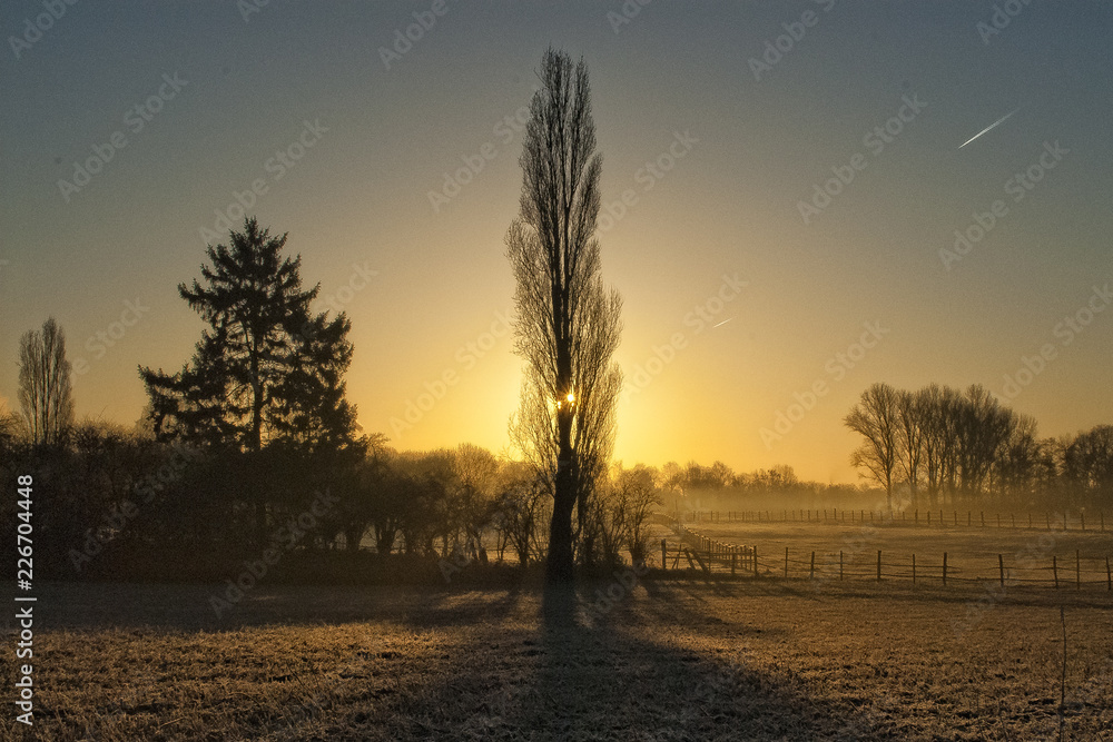 Obraz premium Gegenlicht