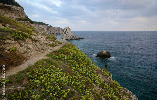 фотографія Puglia, Italy, a glimpse of the San Domino coast with its rocks and low mediterr